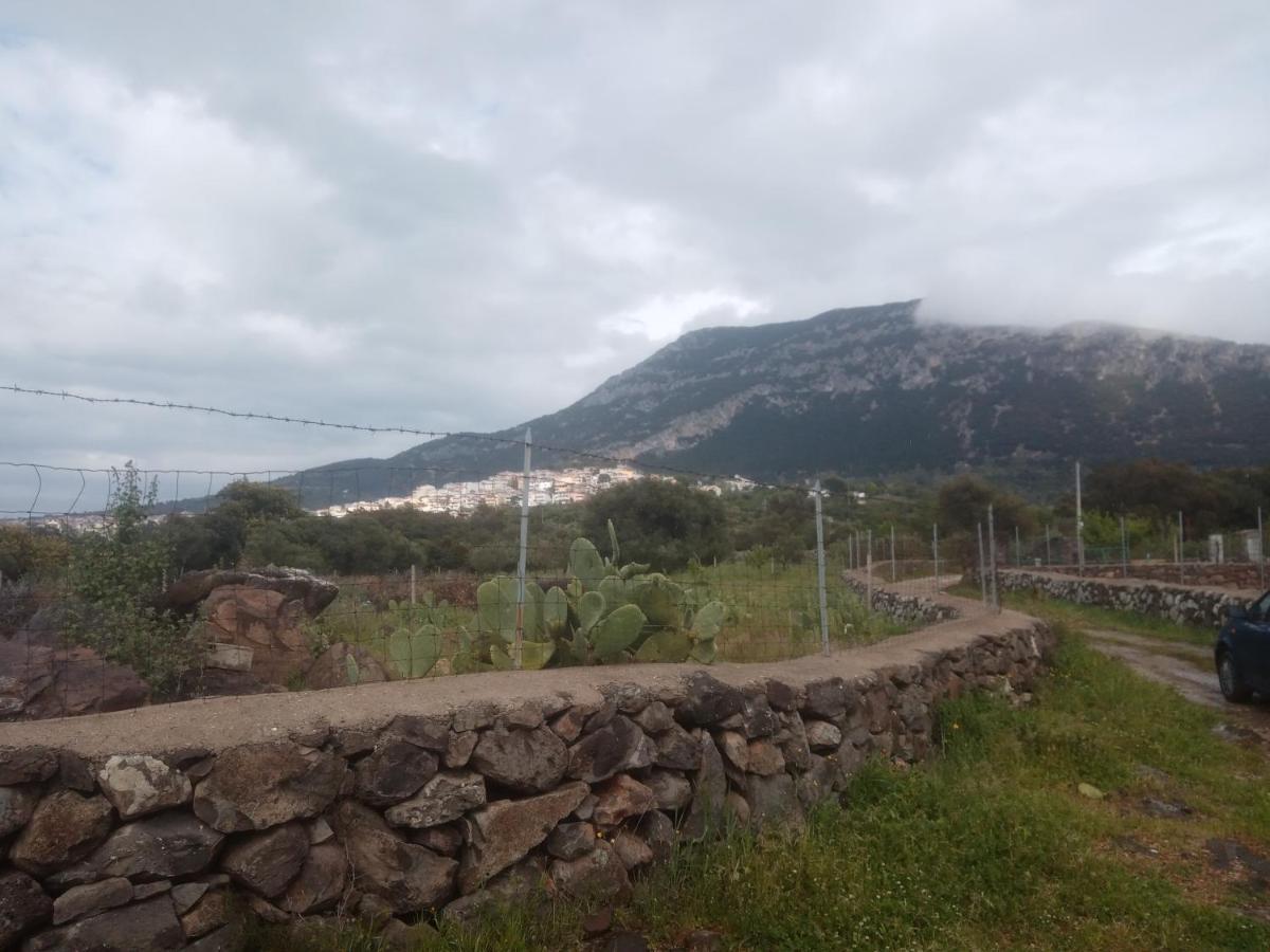 B&B Bella Vista Dorgali Kültér fotó