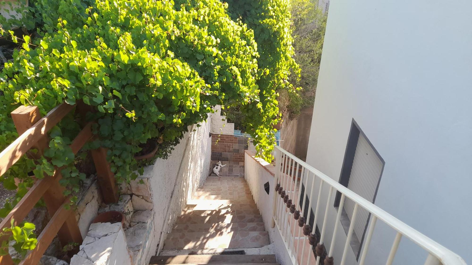 B&B Bella Vista Dorgali Kültér fotó