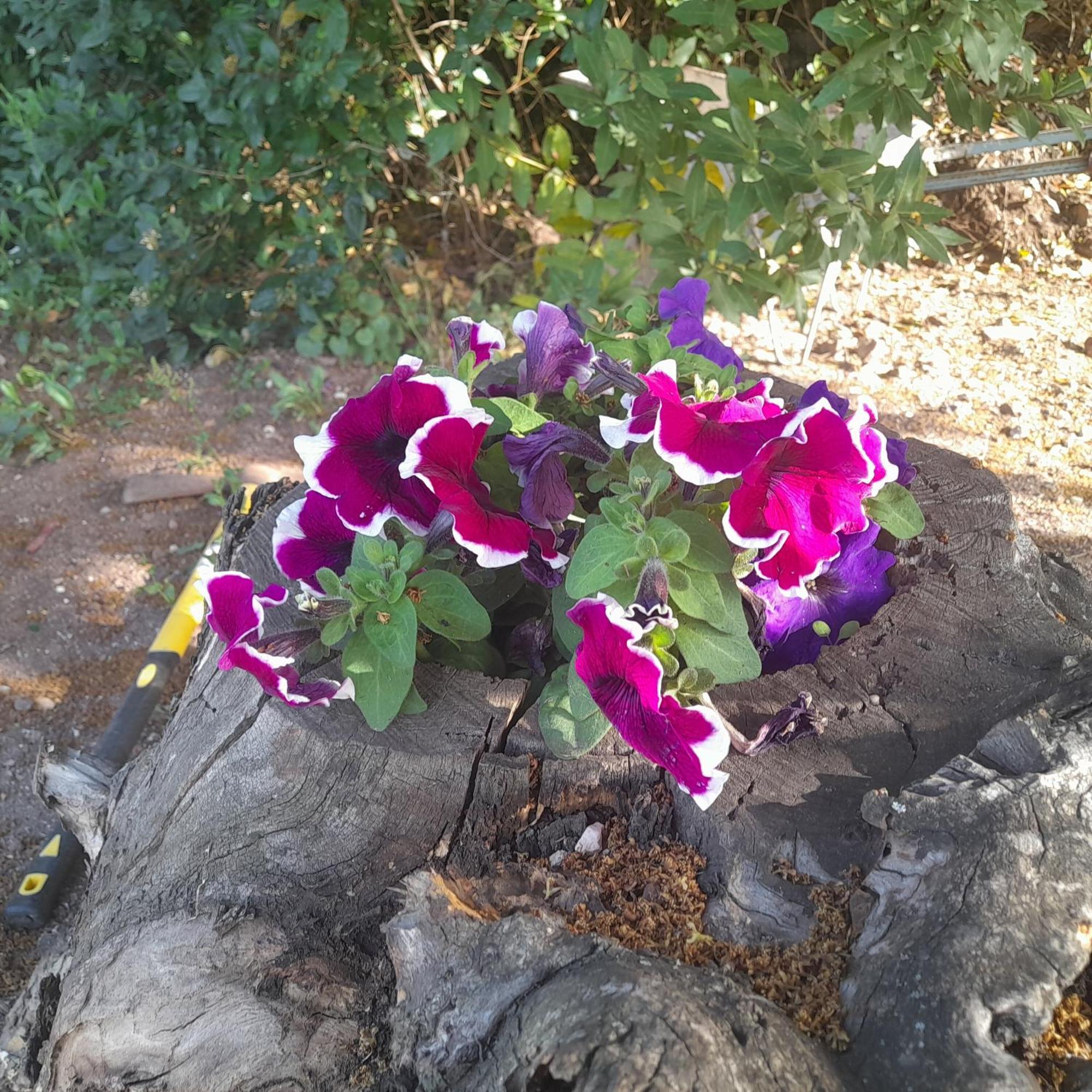 B&B Bella Vista Dorgali Kültér fotó