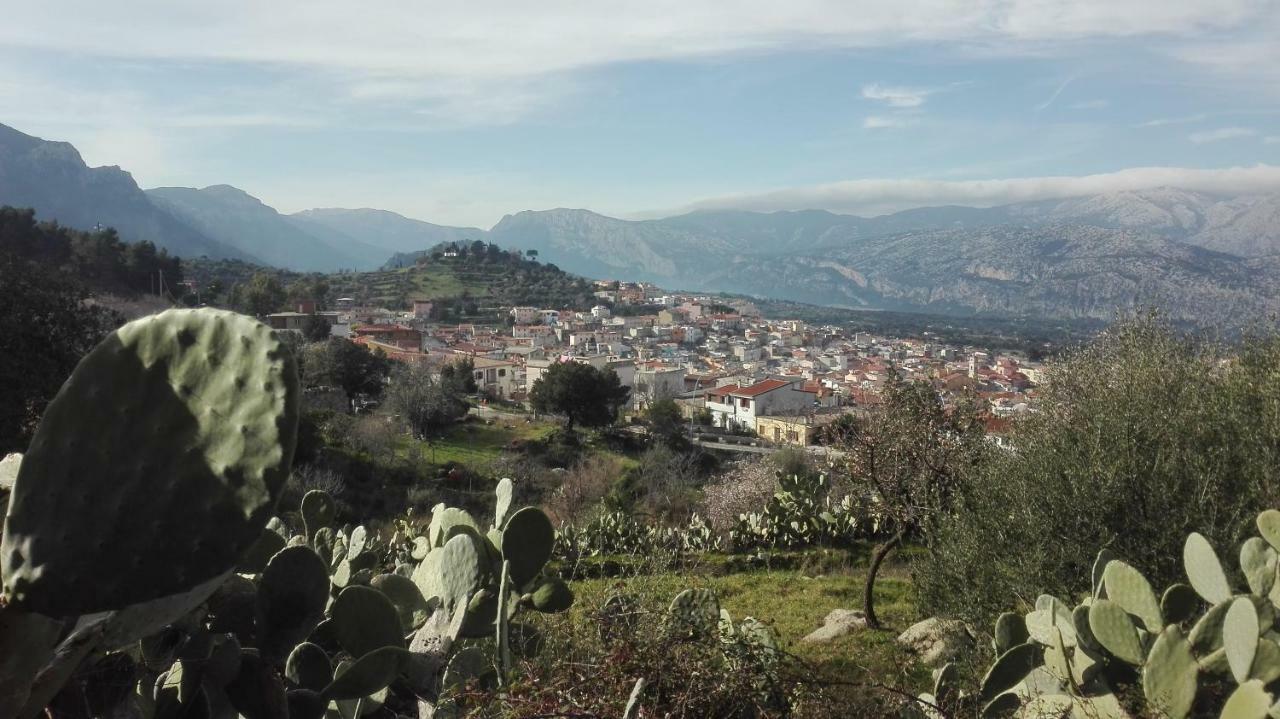 B&B Bella Vista Dorgali Kültér fotó